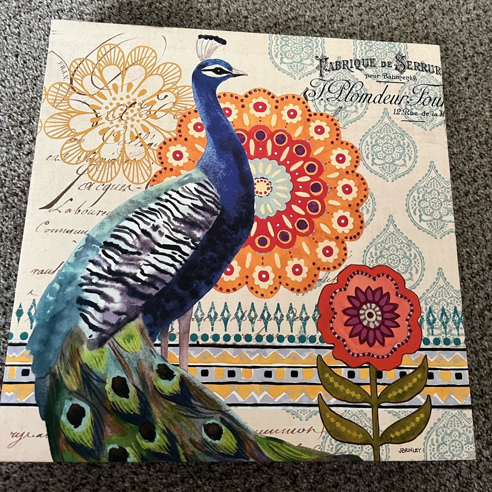 12“ x 12“ peacock canvas wall decor